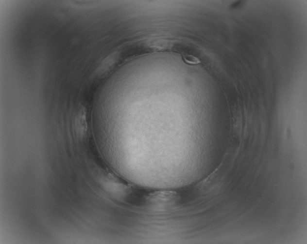 X0000067830128200604201225