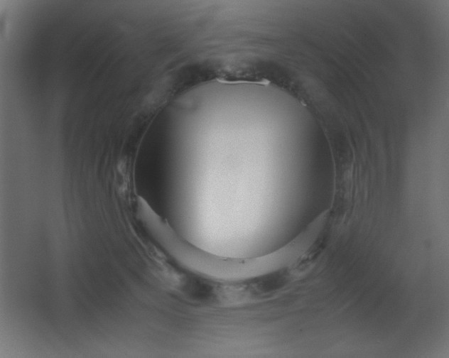 X0000067830129200604201225