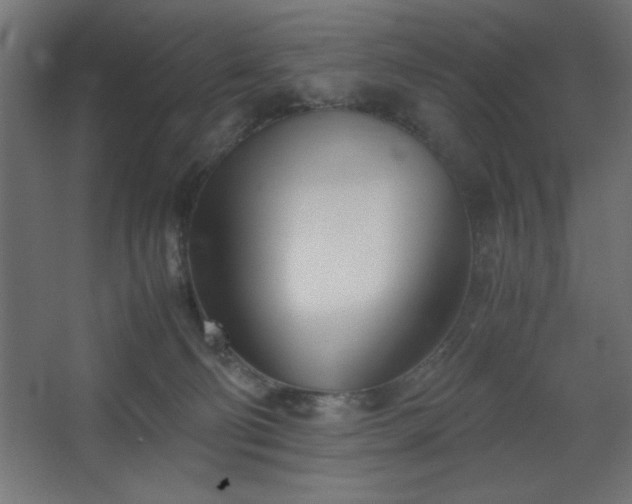 X0000067830130200604201225