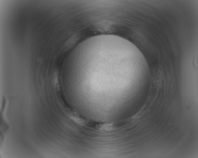 X0000067830132200604201225