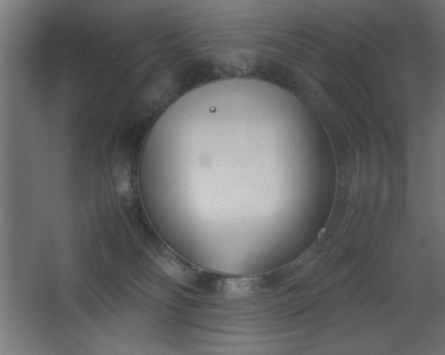 X0000067830134200604201225