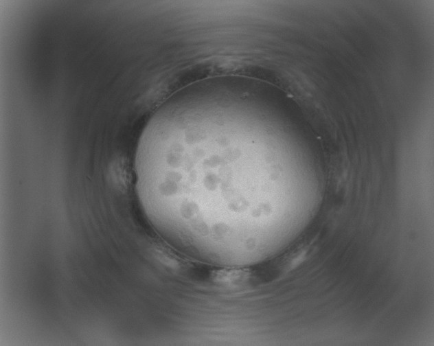 X0000067830135200604201225