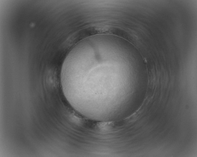 X0000067830136200604201225