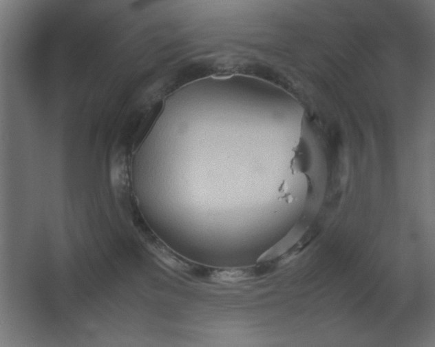 X0000067830137200604201225