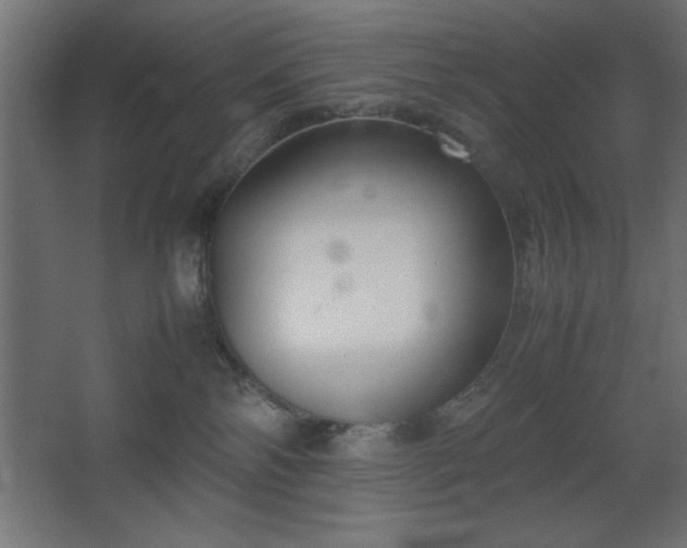 X0000067830138200604201225