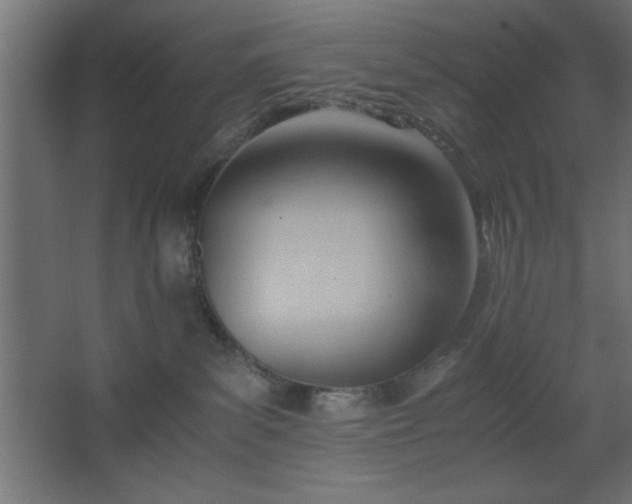 X0000067830139200604201225