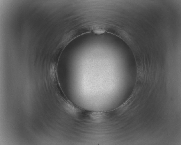 X0000067830142200604201225