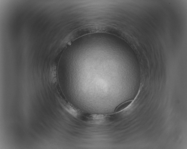 X0000067830144200604201225