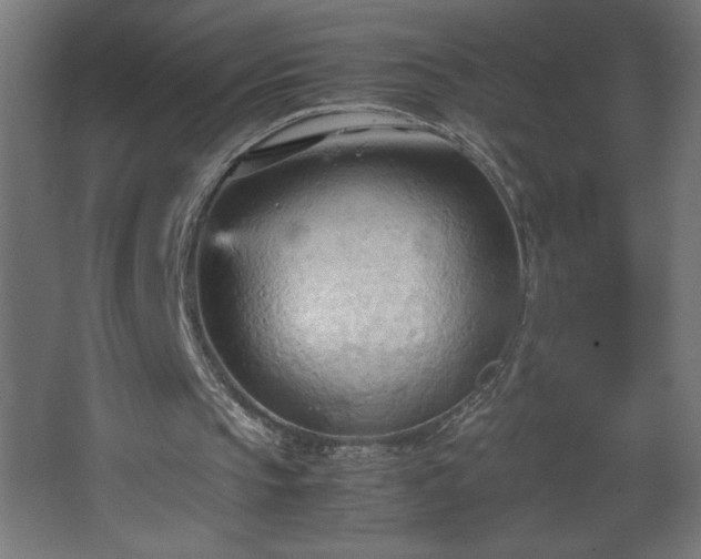 X0000067830145200604201224