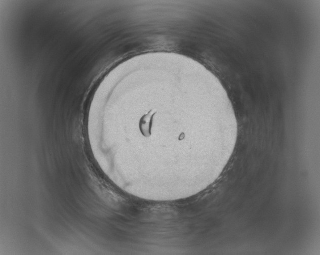 X0000067830146200604201224