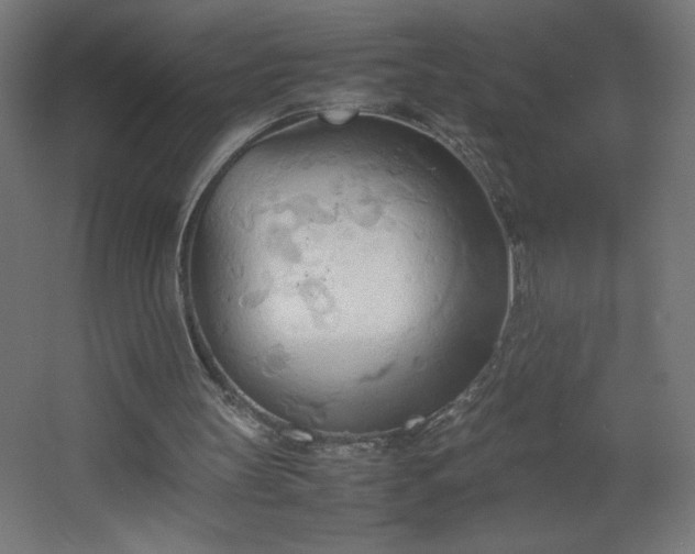 X0000067830147200604201224