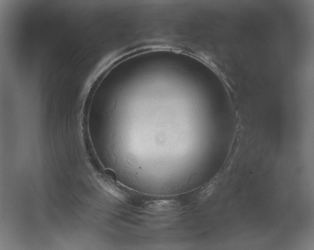 X0000067830151200604201224