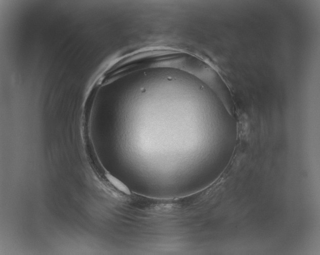 X0000067830152200604201224