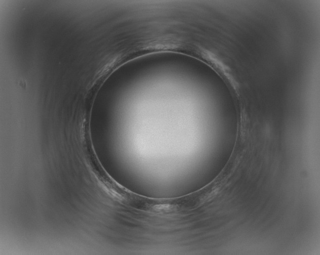 X0000067830153200604201224