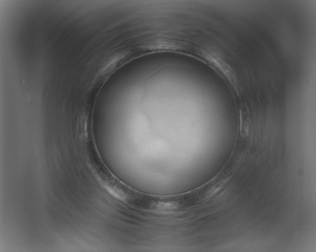 X0000067830157200604201224