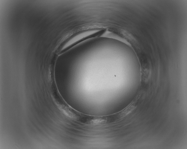 X0000067830158200604201224