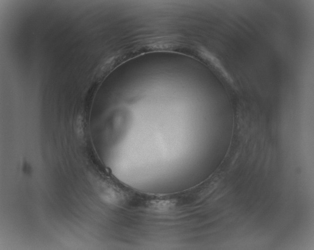 X0000067830161200604201224