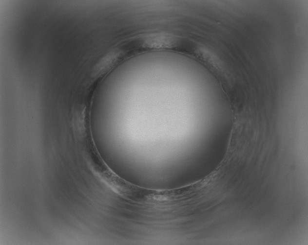 X0000067830163200604201225