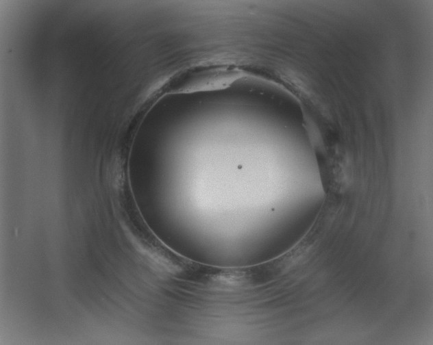 X0000067830164200604201225