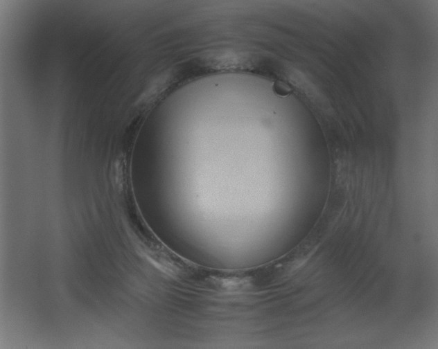 X0000067830165200604201225