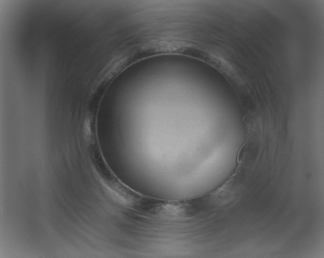 X0000067830166200604201225