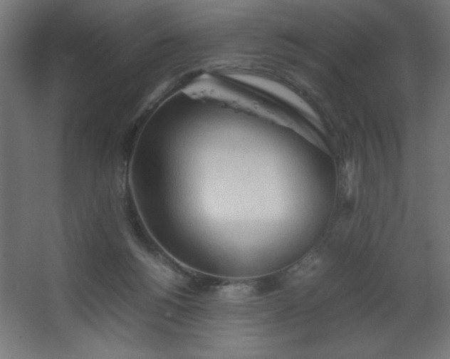 X0000067830168200604201225