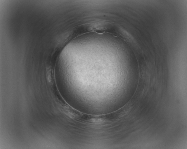 X0000067830169200604201225