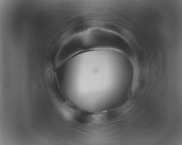 X0000067830172200604201225