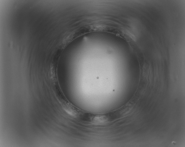 X0000067830173200604201225