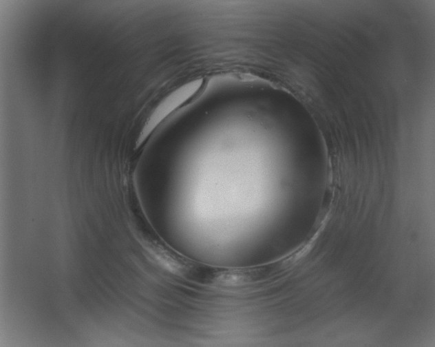 X0000067830174200604201225