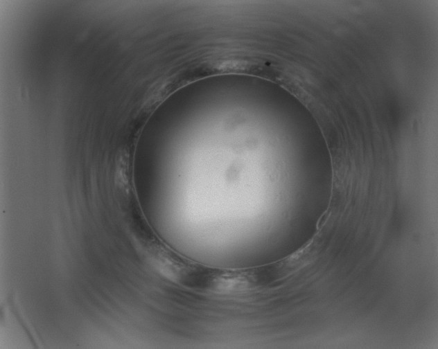 X0000067830175200604201225