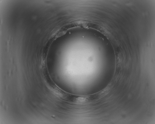 X0000067830176200604201225