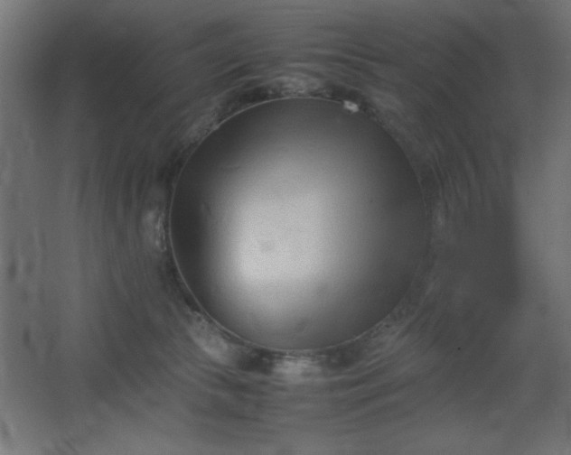 X0000067830177200604201225