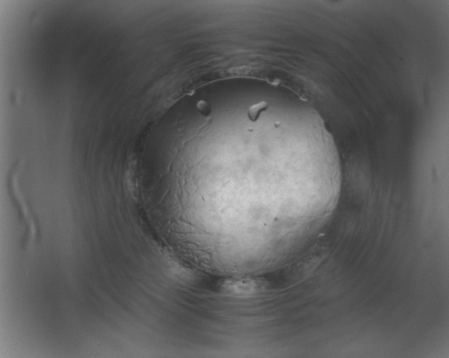 X0000067830181200604201225