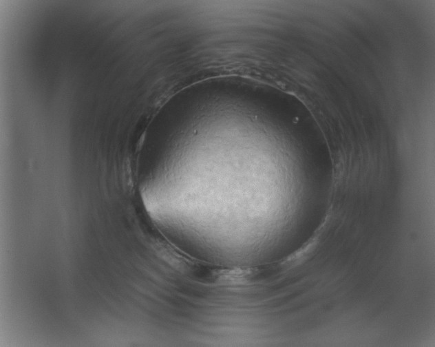 X0000067830182200604201225