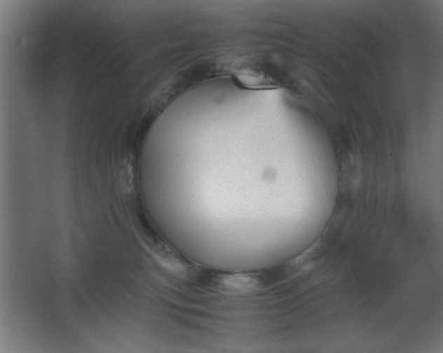 X0000067830183200604201225