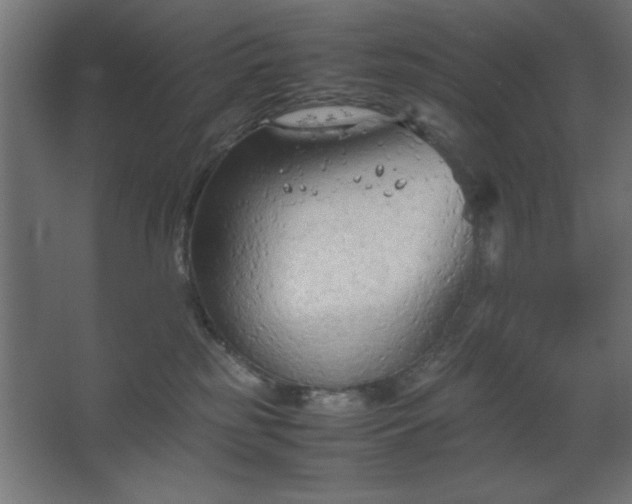 X0000067830185200604201225