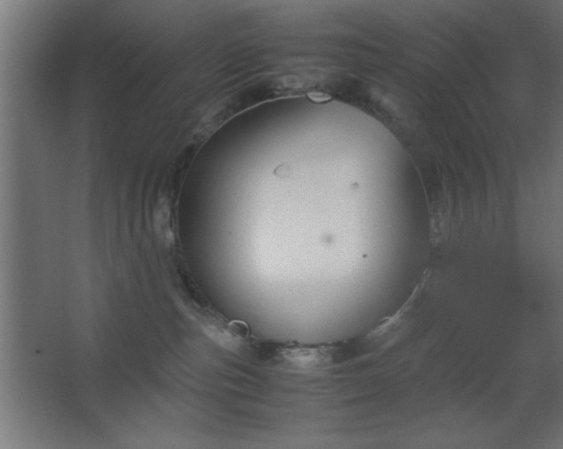 X0000067830187200604201225