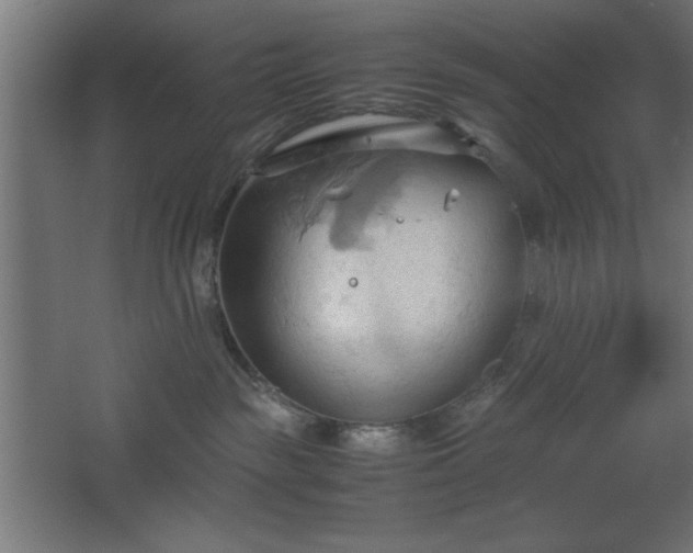 X0000067830189200604201225