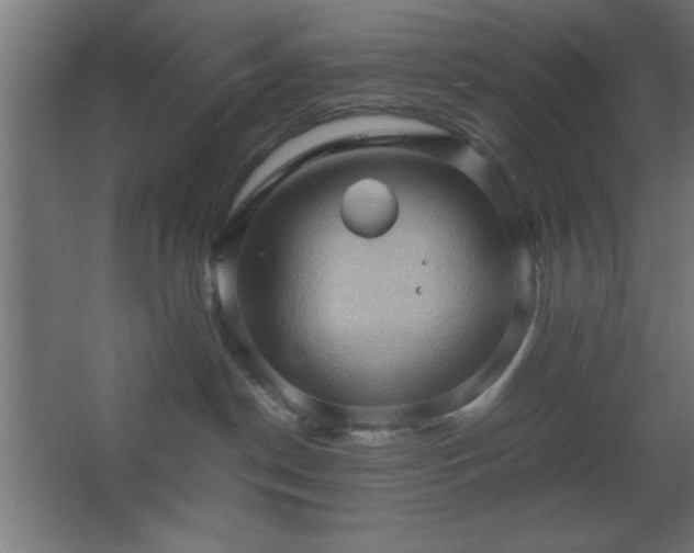 X0000067830190200604201225