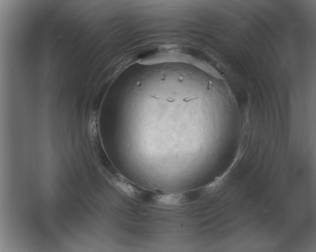 X0000067830191200604201225