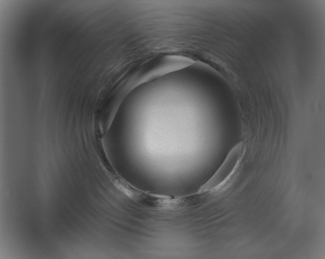 X0000067830192200604201225