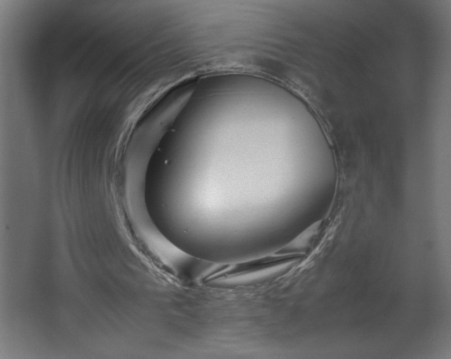 X0000067830193200604201224