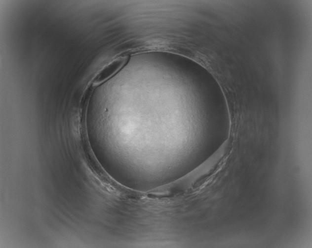 X0000067830194200604201224