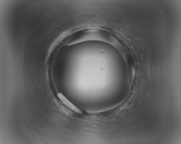 X0000067830197200604201224