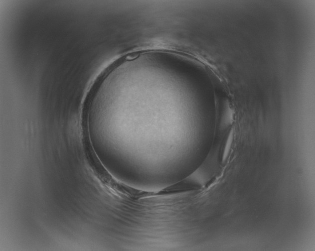 X0000067830200200604201224