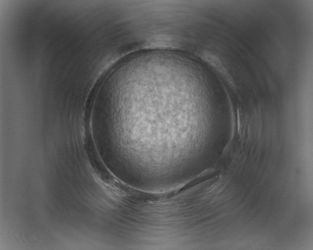 X0000067830204200604201224