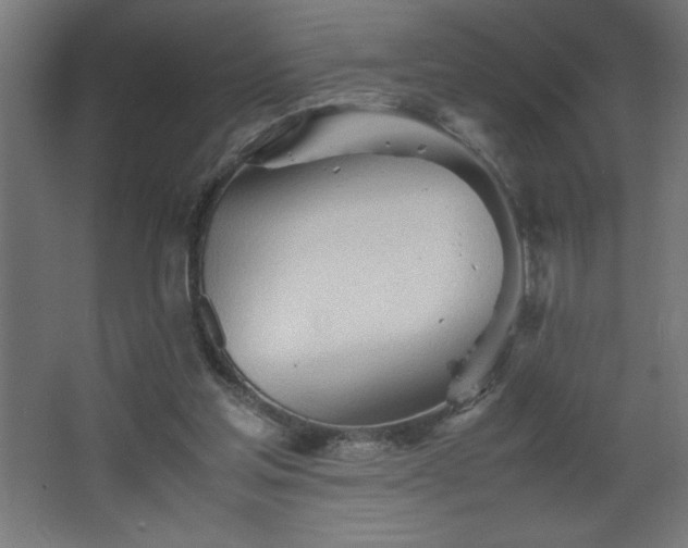 X0000067830205200604201224