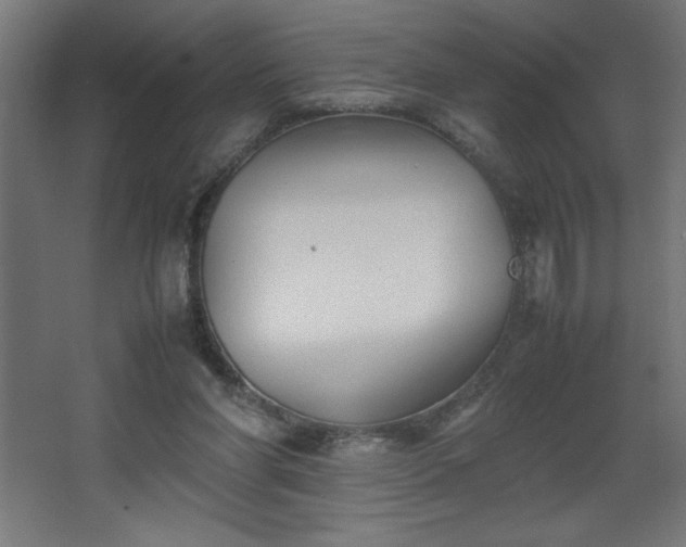 X0000067830206200604201224