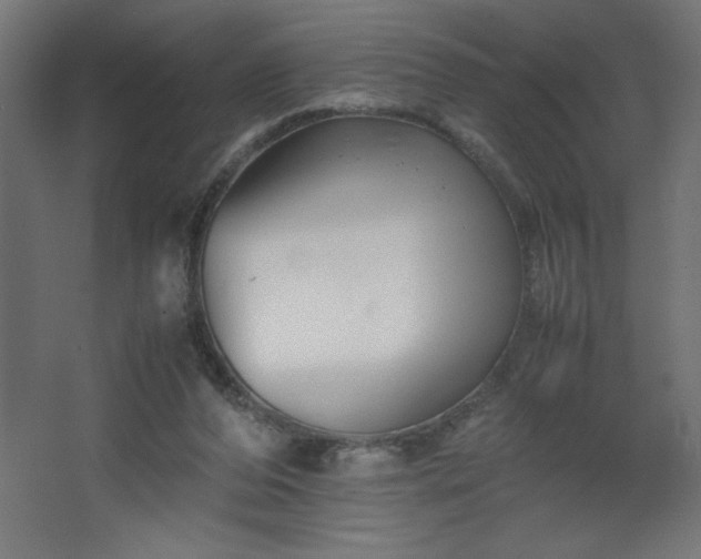 X0000067830208200604201224